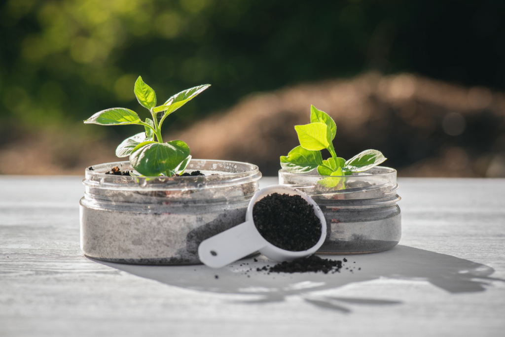 Two small glass containers transformed into small plants with soil